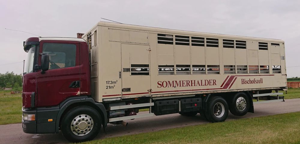 Scania 124 420 Do żywca - Camion transport animale: Foto 5 Scania 124 420 Do żywca - Camion transport animale: Foto 5