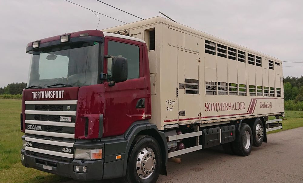 Scania 124 420 Do żywca - Camion transport animale: Foto 1 Scania 124 420 Do żywca - Camion transport animale: Foto 1