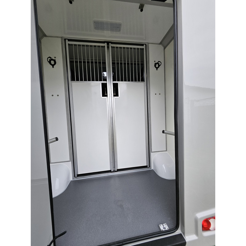 Opel Movano AKX by Stephex - Camion transport cai: Foto 4 Opel Movano AKX by Stephex - Camion transport cai: Foto 4