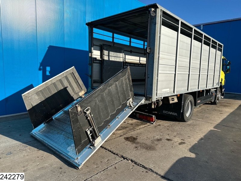 Scania P 320 EURO 5, Manual transmission, Retarder - Camion transport animale: Foto 4 Scania P 320 EURO 5, Manual transmission, Retarder - Camion transport animale: Foto 4
