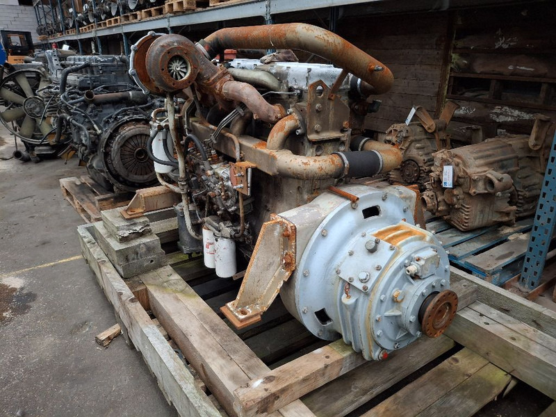 DAF 1160 TURBO (DKS1160E) - Motor: Foto 4 DAF 1160 TURBO (DKS1160E) - Motor: Foto 4