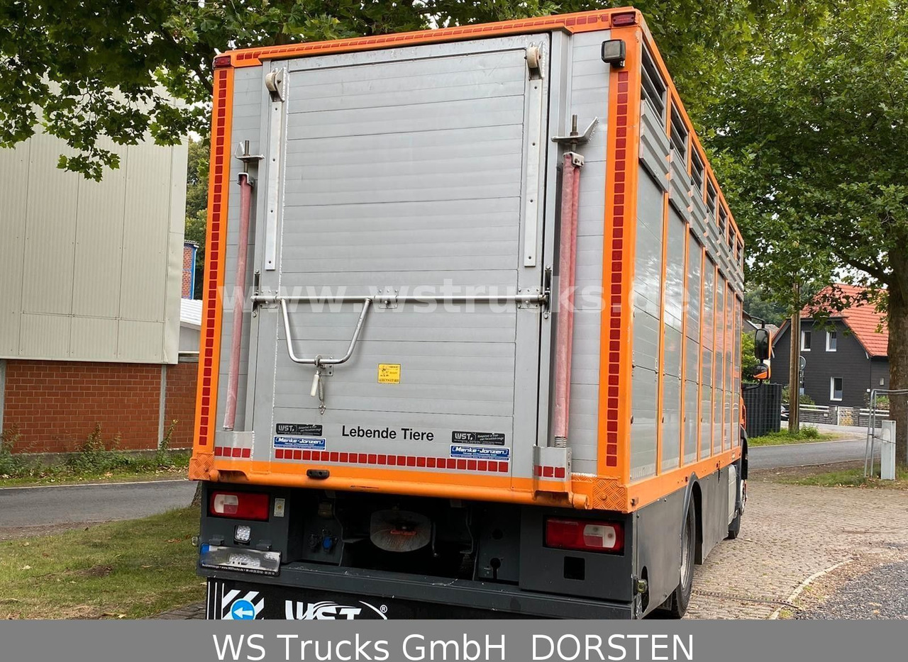DAF CF 400 Menke Einstock - Camion transport cai: Foto 3 DAF CF 400 Menke Einstock - Camion transport cai: Foto 3