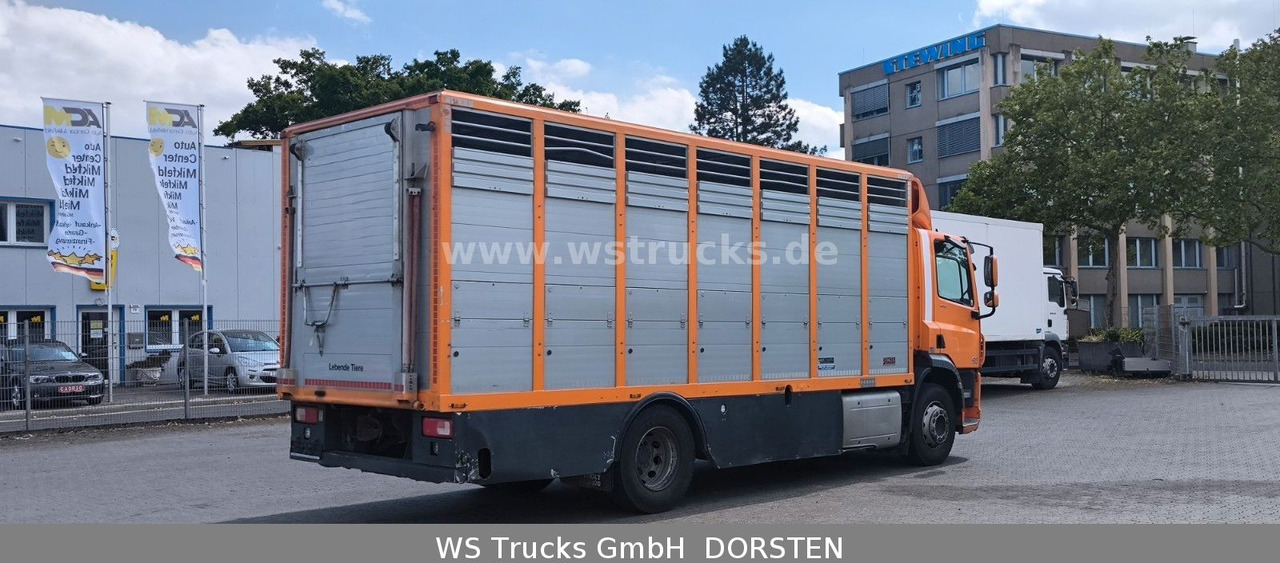 DAF CF 400 Menke Einstock Viehtransporter - Camion transport cai: Foto 5 DAF CF 400 Menke Einstock Viehtransporter - Camion transport cai: Foto 5