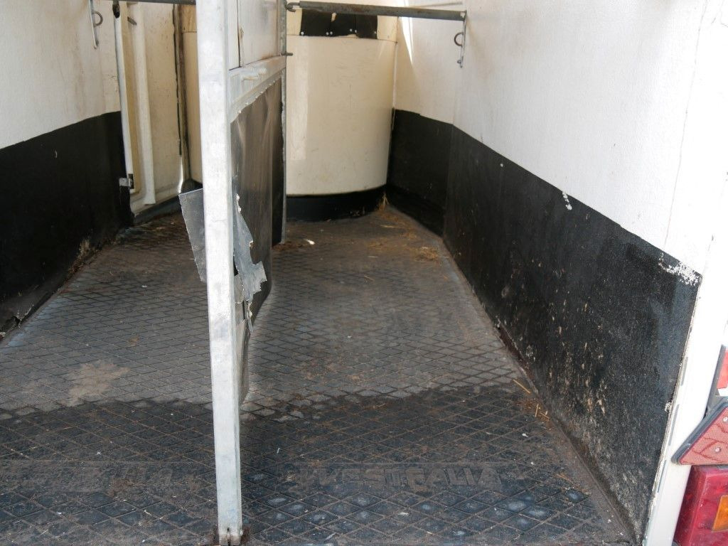 Westfalia Vollpoly 2 Pferde mit Sattelkammer - Remorcă transport cai: Foto 5 Westfalia Vollpoly 2 Pferde mit Sattelkammer - Remorcă transport cai: Foto 5