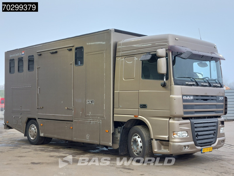 DAF XF105.410 XF 4X2 NL-Truck JK Horsetruck 6 Horses Pferdentransport Manual Euro 5 - Camion transport cai: Foto 3 DAF XF105.410 XF 4X2 NL-Truck JK Horsetruck 6 Horses Pferdentransport Manual Euro 5 - Camion transport cai: Foto 3