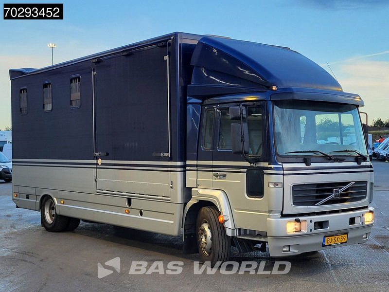 Volvo FL6 180 FL 4X2 NL-Horsetruck 4 Horses Pferdentransport Manual Euro 2 - Camion transport animale: Foto 3 Volvo FL6 180 FL 4X2 NL-Horsetruck 4 Horses Pferdentransport Manual Euro 2 - Camion transport animale: Foto 3