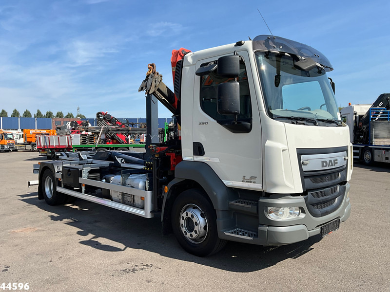 DAF FA LF 250 Euro 6 Palfinger 6,5 Tonmeter laadkraan - Camion cu cârlig, Camion cu macara: Foto 3 DAF FA LF 250 Euro 6 Palfinger 6,5 Tonmeter laadkraan - Camion cu cârlig, Camion cu macara: Foto 3
