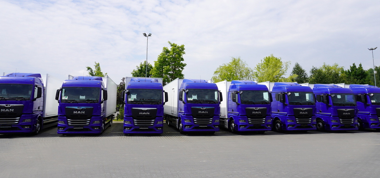 MAN New MAN TGX 26.400 / NEW IGLOOCAR refrigerator 23 pallets / 6×2 / 2024 / 10 units - Camion furgon: Foto 3 MAN New MAN TGX 26.400 / NEW IGLOOCAR refrigerator 23 pallets / 6×2 / 2024 / 10 units - Camion furgon: Foto 3