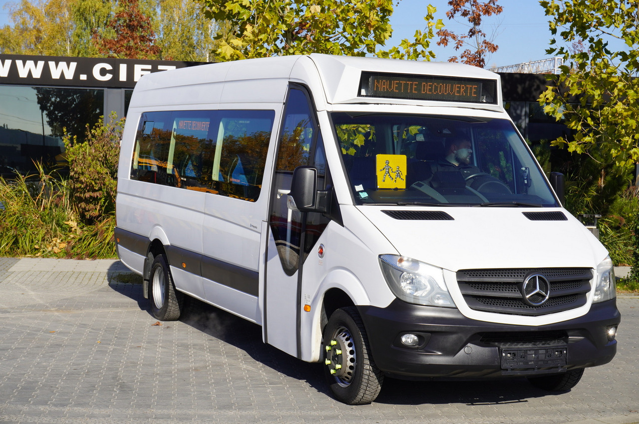 Mercedes-Benz Sprinter 516 CDI / School bus / 23 seats / automatic - Autobuz școlar: Foto 2 Mercedes-Benz Sprinter 516 CDI / School bus / 23 seats / automatic - Autobuz școlar: Foto 2