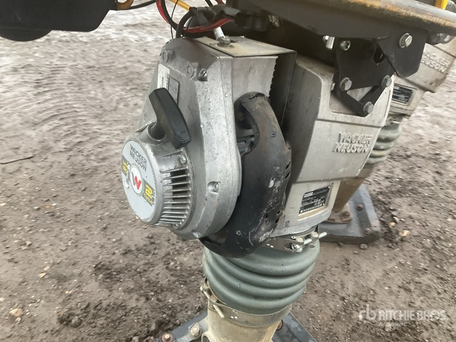 2020 Wacker Neuson BS50-2plus Jumping Jack Tamper Jumping Jack Tamper - Mai compactor: Foto 5 2020 Wacker Neuson BS50-2plus Jumping Jack Tamper Jumping Jack Tamper - Mai compactor: Foto 5