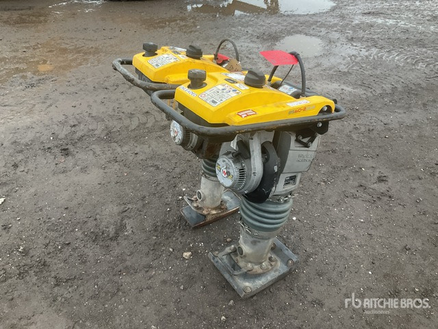 2020 Wacker Neuson BS50-2plus Jumping Jack Tamper Jumping Jack Tamper - Mai compactor: Foto 4 2020 Wacker Neuson BS50-2plus Jumping Jack Tamper Jumping Jack Tamper - Mai compactor: Foto 4