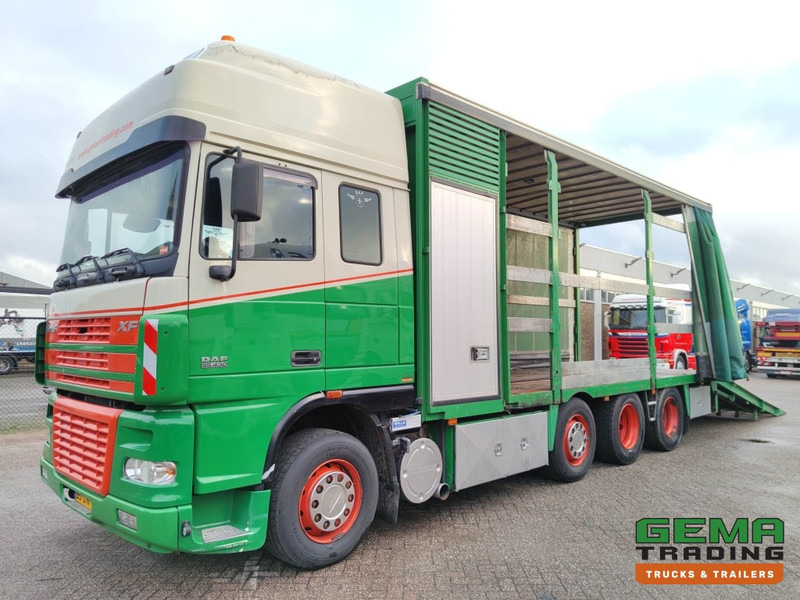 DAF FAK XF95.430 8x2 SuperSpaceCab Euro3 - CurtainSider 7.31m + Ramp 16T - MachineTransporter - 6 Persons (V558) - Camion transport auto: Foto 1 DAF FAK XF95.430 8x2 SuperSpaceCab Euro3 - CurtainSider 7.31m + Ramp 16T - MachineTransporter - 6 Persons (V558) - Camion transport auto: Foto 1