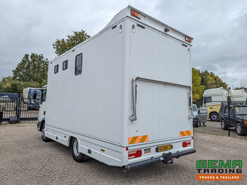 MAN TGL 12.250 4x2 Euro5 EEV RC HorseTruck - 2a3 Paards - 135.000km - MARGE (V821) - Camion transport cai: Foto 4 MAN TGL 12.250 4x2 Euro5 EEV RC HorseTruck - 2a3 Paards - 135.000km - MARGE (V821) - Camion transport cai: Foto 4