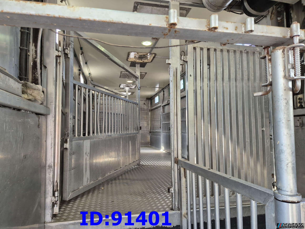 Camion transport animale MERCEDES-BENZ Antos 2532 - 6x2 - Euro 6 - Animal transport: Foto 9