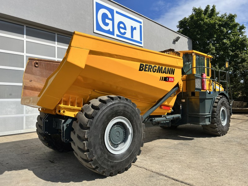 Camion articulat Bergmann 5025 HK (110873): Foto 8