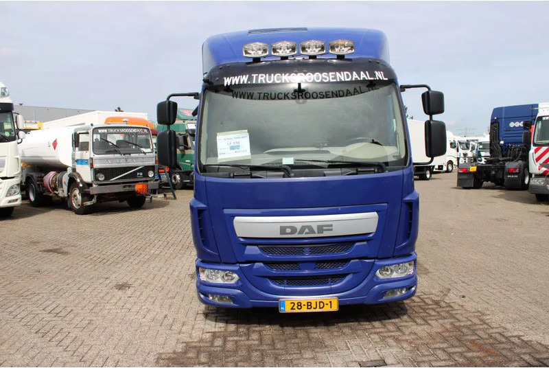 DAF LF 230 + EURO 6 - Camion transport animale: Foto 2 DAF LF 230 + EURO 6 - Camion transport animale: Foto 2