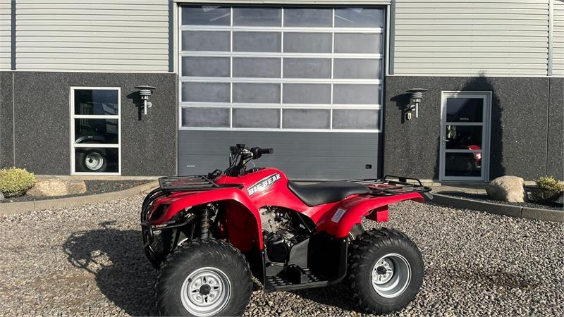 Yamaha Big bear 250 - Atv: Foto 1 Yamaha Big bear 250 - Atv: Foto 1