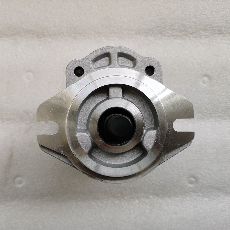 QINGDAO PROMISING Hydraulic Pump CBWA-F318-AT4Φ9 - Pompa hidraulica pentru Încărcător frontal pe pneuri: Foto 3 QINGDAO PROMISING Hydraulic Pump CBWA-F318-AT4Φ9 - Pompa hidraulica pentru Încărcător frontal pe pneuri: Foto 3