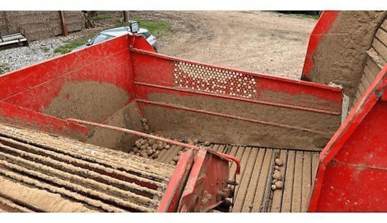 Grimme dr1500 - Combină de recoltat cartofi: Foto 3 Grimme dr1500 - Combină de recoltat cartofi: Foto 3