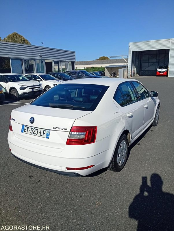 EY-523-LF - Roulant - SKODA OCTAVIA - VP - 384 000 Kms - Automobil: Foto 3 EY-523-LF - Roulant - SKODA OCTAVIA - VP - 384 000 Kms - Automobil: Foto 3