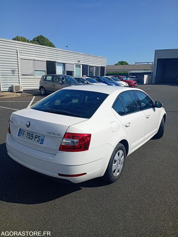 FF-759-PS - Roulant - SKODA OCTAVIA - VP - 394 000 KS - Automobil: Foto 3 FF-759-PS - Roulant - SKODA OCTAVIA - VP - 394 000 KS - Automobil: Foto 3