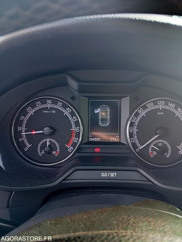 Automobil FF-759-PS - Roulant - SKODA OCTAVIA - VP - 394 000 KS: Foto 7