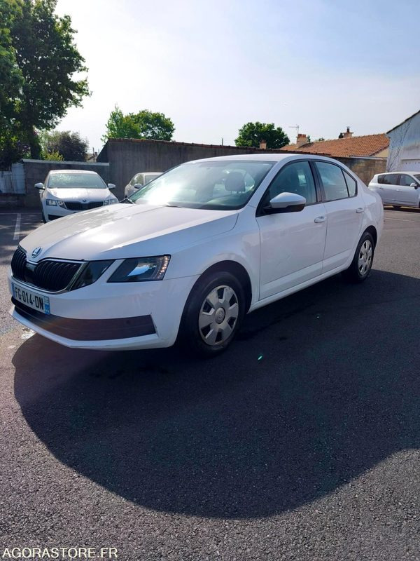 FG-014-DN - Roulant - SKODA OCTAVIA - VP - 354 084 Kms - Automobil: Foto 1 FG-014-DN - Roulant - SKODA OCTAVIA - VP - 354 084 Kms - Automobil: Foto 1