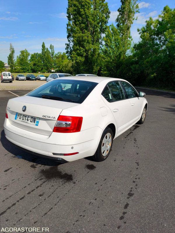 FG-014-DN - Roulant - SKODA OCTAVIA - VP - 354 084 Kms - Automobil: Foto 4 FG-014-DN - Roulant - SKODA OCTAVIA - VP - 354 084 Kms - Automobil: Foto 4