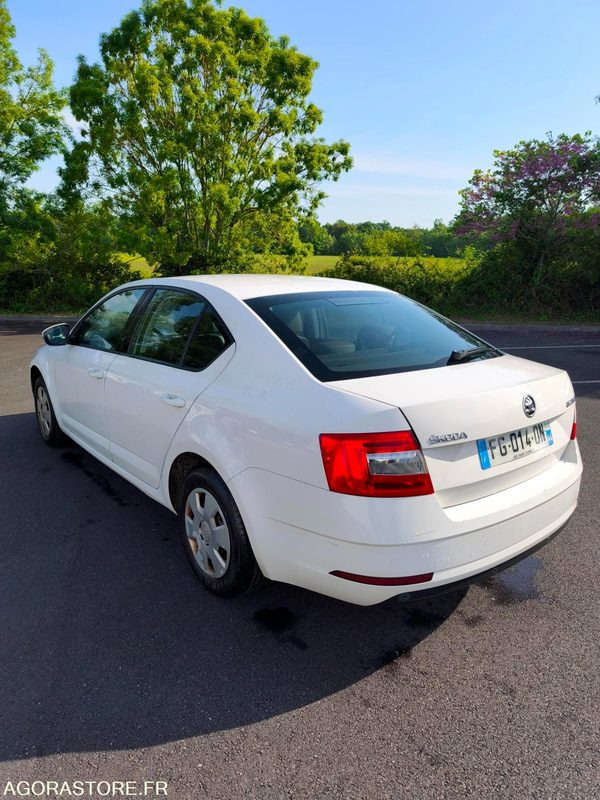 FG-014-DN - Roulant - SKODA OCTAVIA - VP - 354 084 Kms - Automobil: Foto 3 FG-014-DN - Roulant - SKODA OCTAVIA - VP - 354 084 Kms - Automobil: Foto 3