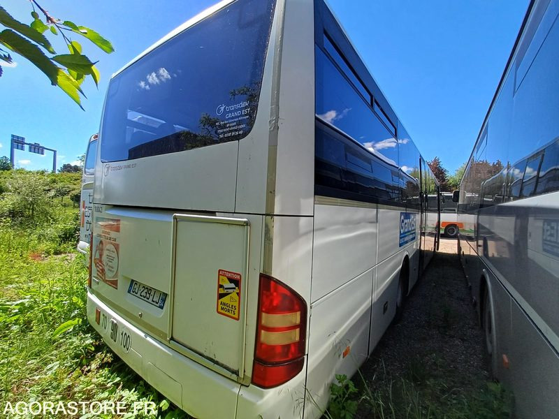 MERCEDES - INTOURO - 2007 / 531917KM - GJ239LJ (10043) - Autobuz școlar: Foto 4 MERCEDES - INTOURO - 2007 / 531917KM - GJ239LJ (10043) - Autobuz școlar: Foto 4