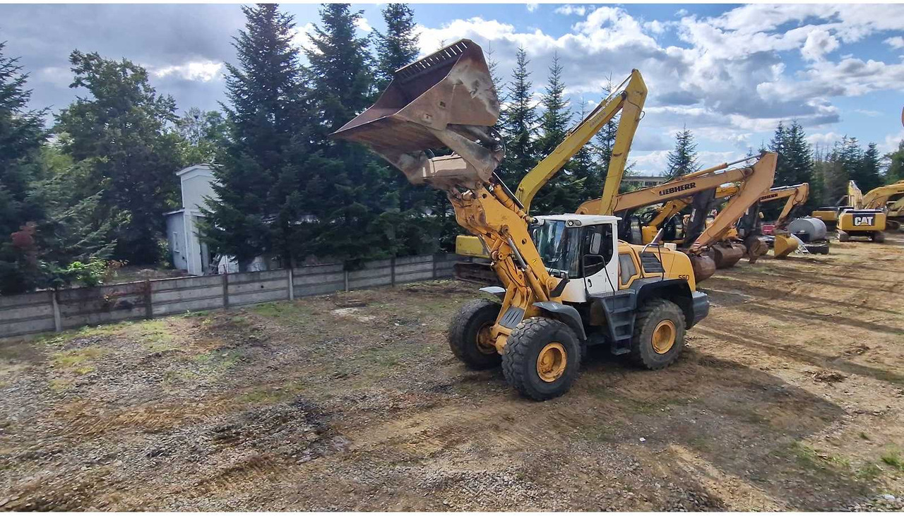 Liebherr L550 - Încărcător frontal pe pneuri: Foto 4 Liebherr L550 - Încărcător frontal pe pneuri: Foto 4