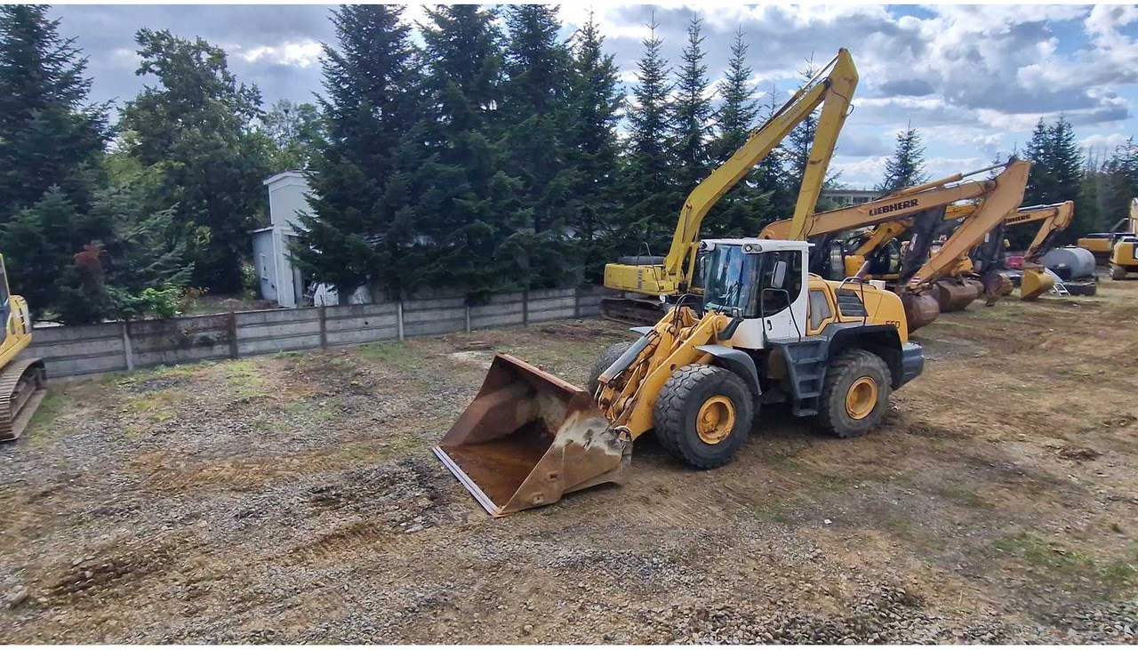 Liebherr L550 - Încărcător frontal pe pneuri: Foto 3 Liebherr L550 - Încărcător frontal pe pneuri: Foto 3