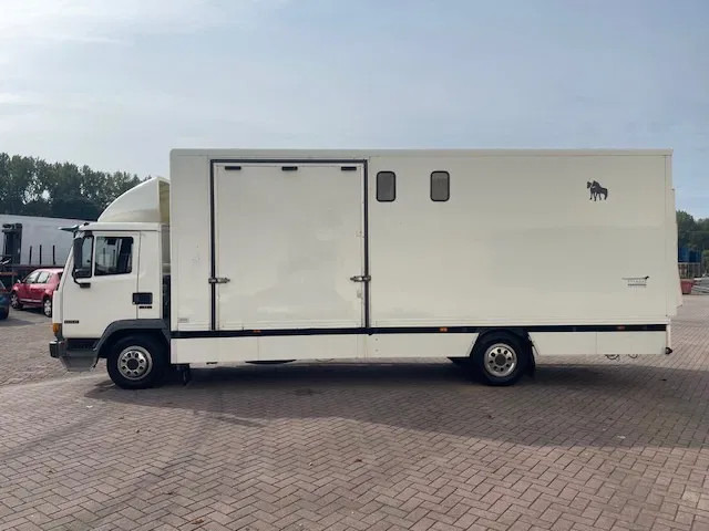DAF LF 45.130 CLEAN HORSES NL-TRUCK - Camion transport cai: Foto 4 DAF LF 45.130 CLEAN HORSES NL-TRUCK - Camion transport cai: Foto 4