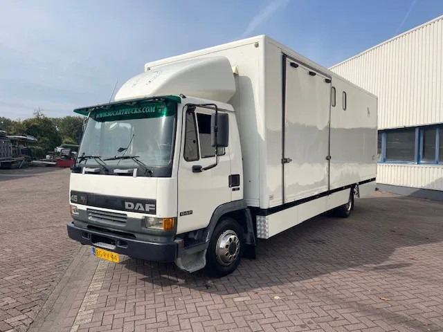 DAF LF 45.130 CLEAN HORSES NL-TRUCK - Camion transport cai: Foto 3 DAF LF 45.130 CLEAN HORSES NL-TRUCK - Camion transport cai: Foto 3