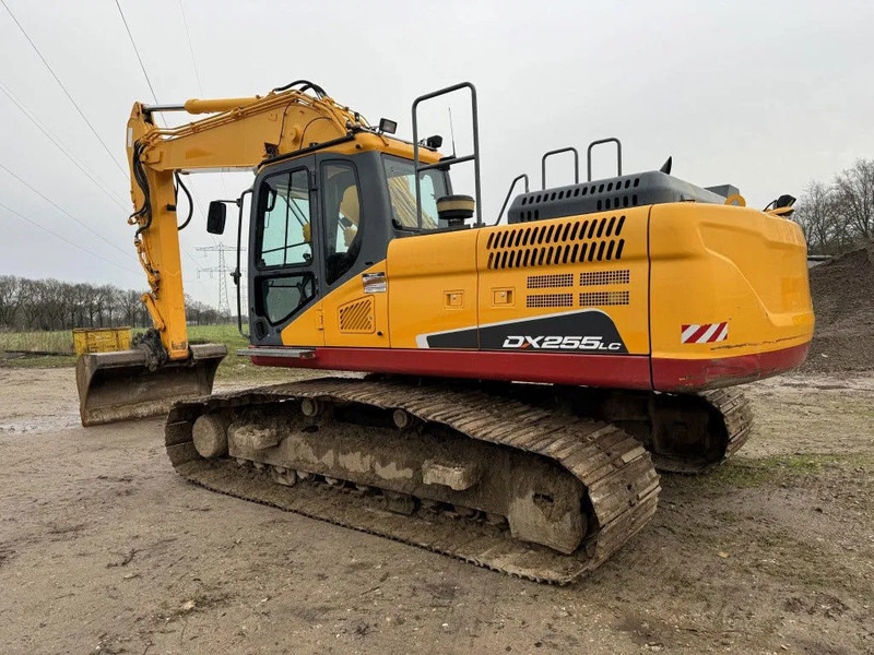 Doosan DX255LC-5 2015 10800 hr STRAIGHT FROM WORK ! DUTCH MACHINE ! - Excavator pe şenile: Foto 2 Doosan DX255LC-5 2015 10800 hr STRAIGHT FROM WORK ! DUTCH MACHINE ! - Excavator pe şenile: Foto 2