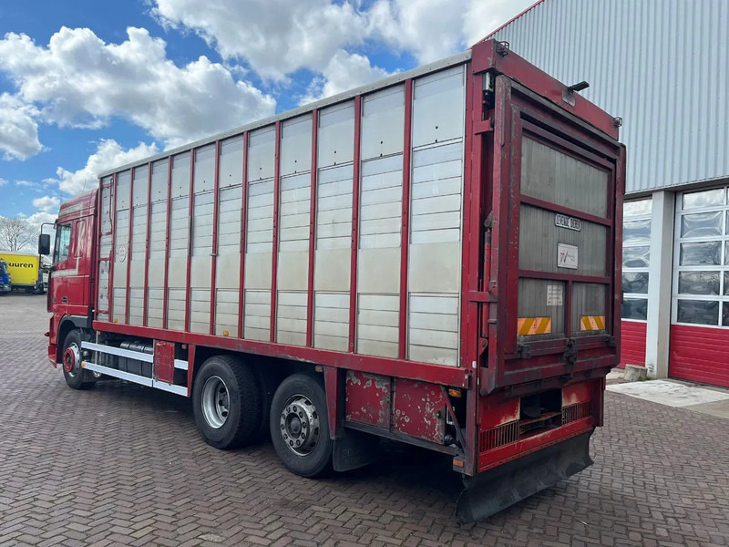 DAF XF FAR 95XF.380 EURO 2 - Camion transport animale: Foto 5 DAF XF FAR 95XF.380 EURO 2 - Camion transport animale: Foto 5