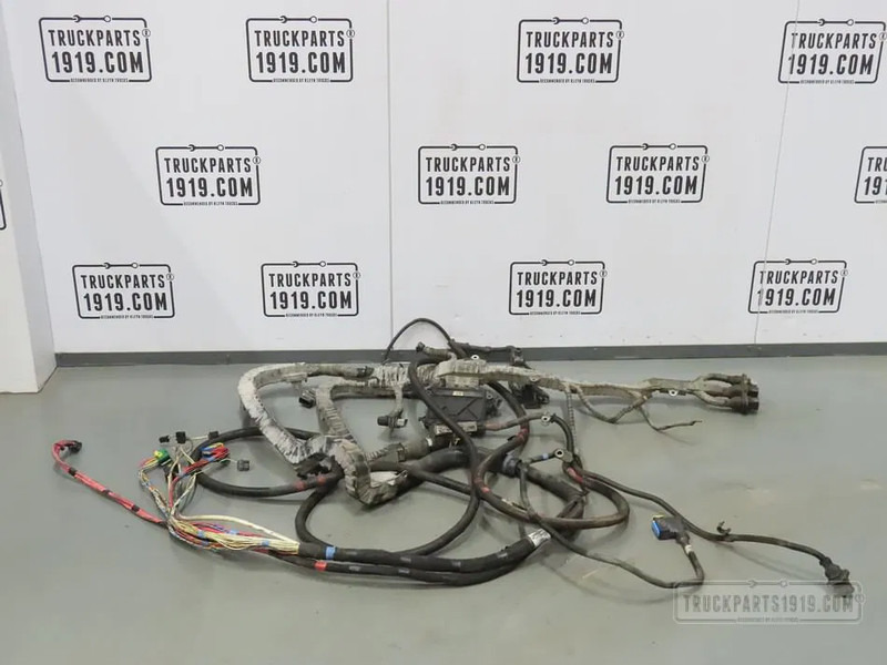 DAF 2177915 | Motorkabelboom J2B MX13 - Cablu/ Fire electric pentru Camion: Foto 1 DAF 2177915 | Motorkabelboom J2B MX13 - Cablu/ Fire electric pentru Camion: Foto 1