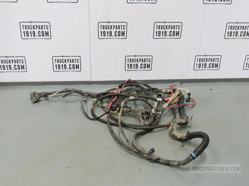 DAF 2349125 Motorkabelboom J2B MX13 - Cablu/ Fire electric pentru Camion: Foto 1 DAF 2349125 Motorkabelboom J2B MX13 - Cablu/ Fire electric pentru Camion: Foto 1