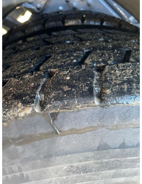 Leasing de Volvo FM460 Globe 6x4 Volvo FM460 Globe 6x4: Foto 13