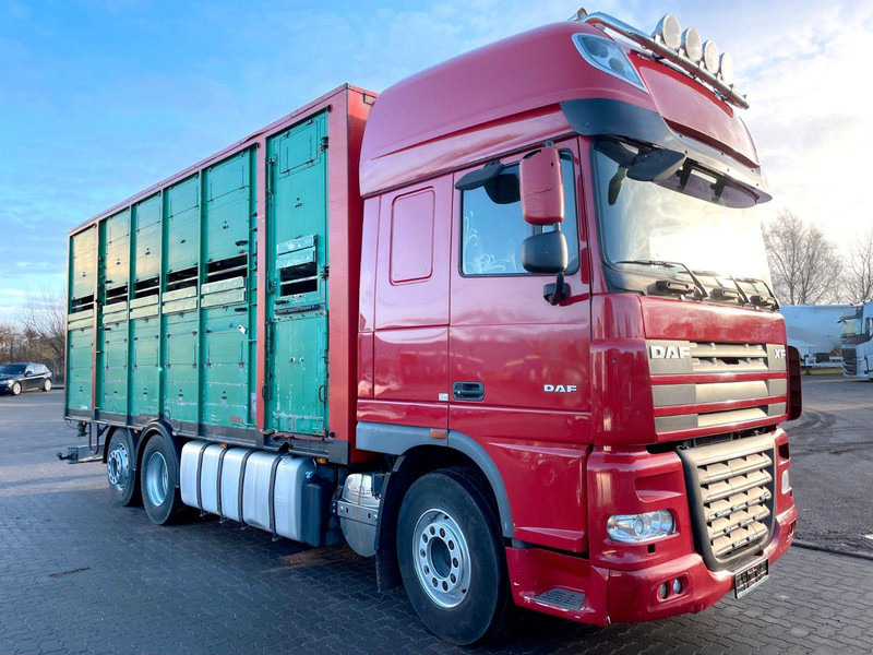 DAF XF 105.460 2-Stock Finkl Viehaufbau / Lenkachs - Camion transport animale: Foto 1 DAF XF 105.460 2-Stock Finkl Viehaufbau / Lenkachs - Camion transport animale: Foto 1