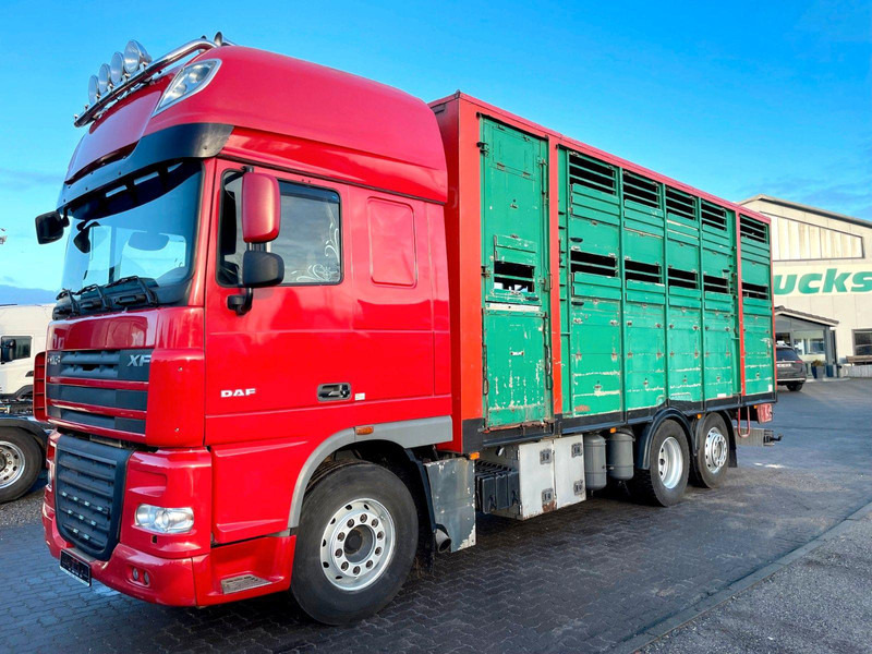 DAF XF 105.460 2-Stock Finkl Viehaufbau / Lenkachs - Camion transport animale: Foto 2 DAF XF 105.460 2-Stock Finkl Viehaufbau / Lenkachs - Camion transport animale: Foto 2