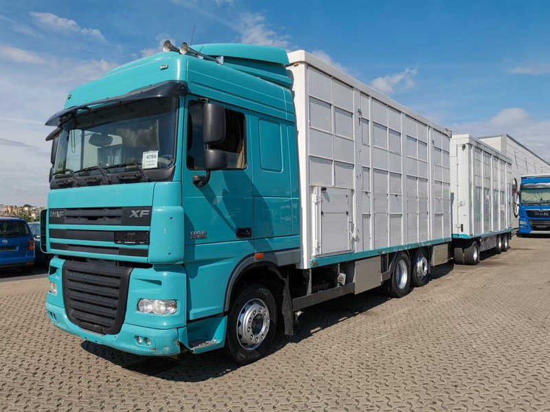 DAF XF 105.460 - Animal transporter + trailer - Camion transport animale: Foto 1 DAF XF 105.460 - Animal transporter + trailer - Camion transport animale: Foto 1
