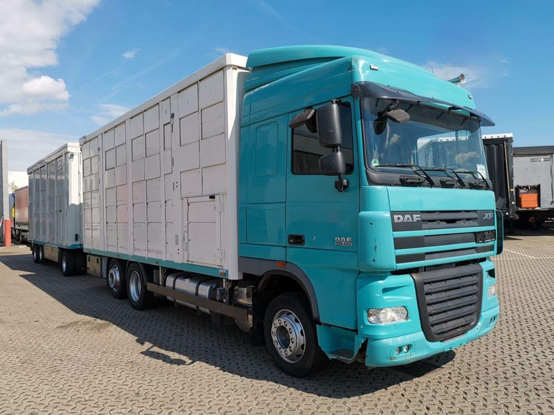 DAF XF 105.460 - Animal transporter + trailer - Camion transport animale: Foto 2 DAF XF 105.460 - Animal transporter + trailer - Camion transport animale: Foto 2