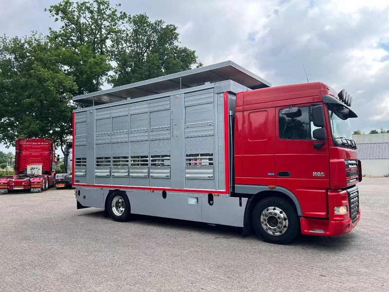 DAF XF 106.460 - Finkl Animal transporter - Camion transport animale: Foto 2 DAF XF 106.460 - Finkl Animal transporter - Camion transport animale: Foto 2