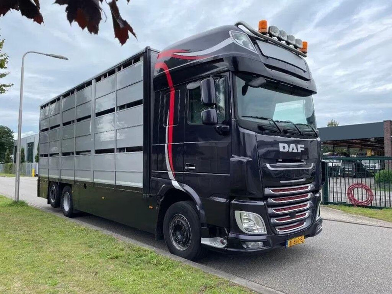 DAF XF 460 - Animal transporter - Camion transport animale: Foto 2 DAF XF 460 - Animal transporter - Camion transport animale: Foto 2