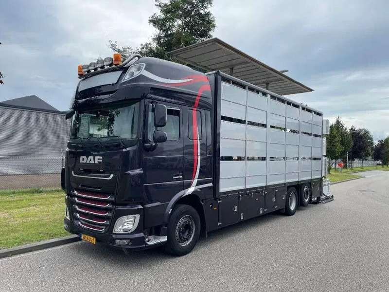 DAF XF 460 - Animal transporter - Camion transport animale: Foto 3 DAF XF 460 - Animal transporter - Camion transport animale: Foto 3