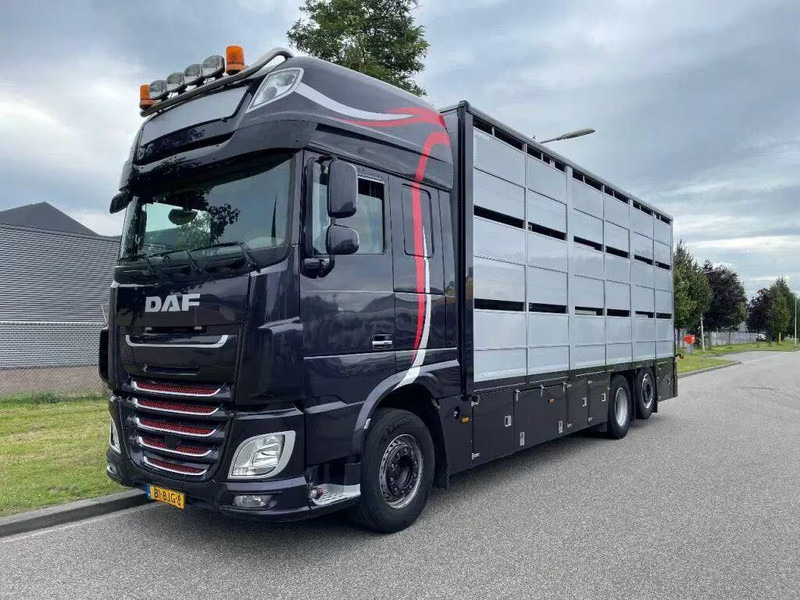 DAF XF 460 - Animal transporter - Camion transport animale: Foto 1 DAF XF 460 - Animal transporter - Camion transport animale: Foto 1