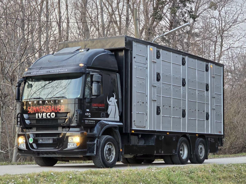 Iveco Stralis 260S45 - Animal transporter - Camion transport animale: Foto 1 Iveco Stralis 260S45 - Animal transporter - Camion transport animale: Foto 1