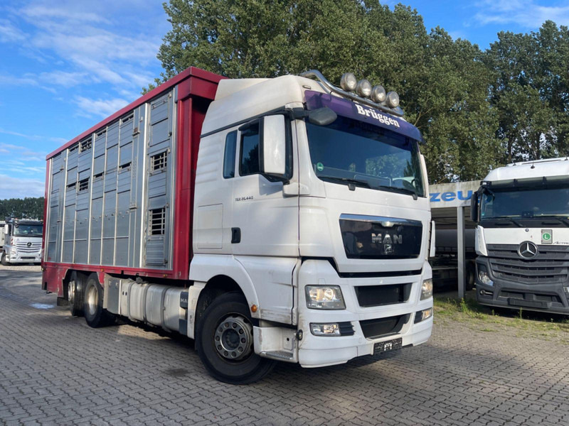 MAN TGX 26.400 6x2-2 LL 3 Stück Finkl Hubdach - Camion transport animale: Foto 5 MAN TGX 26.400 6x2-2 LL 3 Stück Finkl Hubdach - Camion transport animale: Foto 5