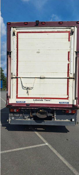 Mercedes-Benz Actros 1851 - Camion transport animale: Foto 5 Mercedes-Benz Actros 1851 - Camion transport animale: Foto 5
